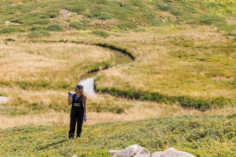 Scientist wins ‘Environment Nobel’ for shedding light on hidden fungal networks