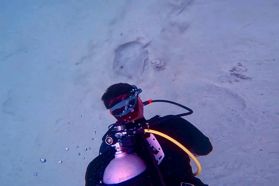 How one rescue by diver in Fujairah put UAE on global marine conservation map