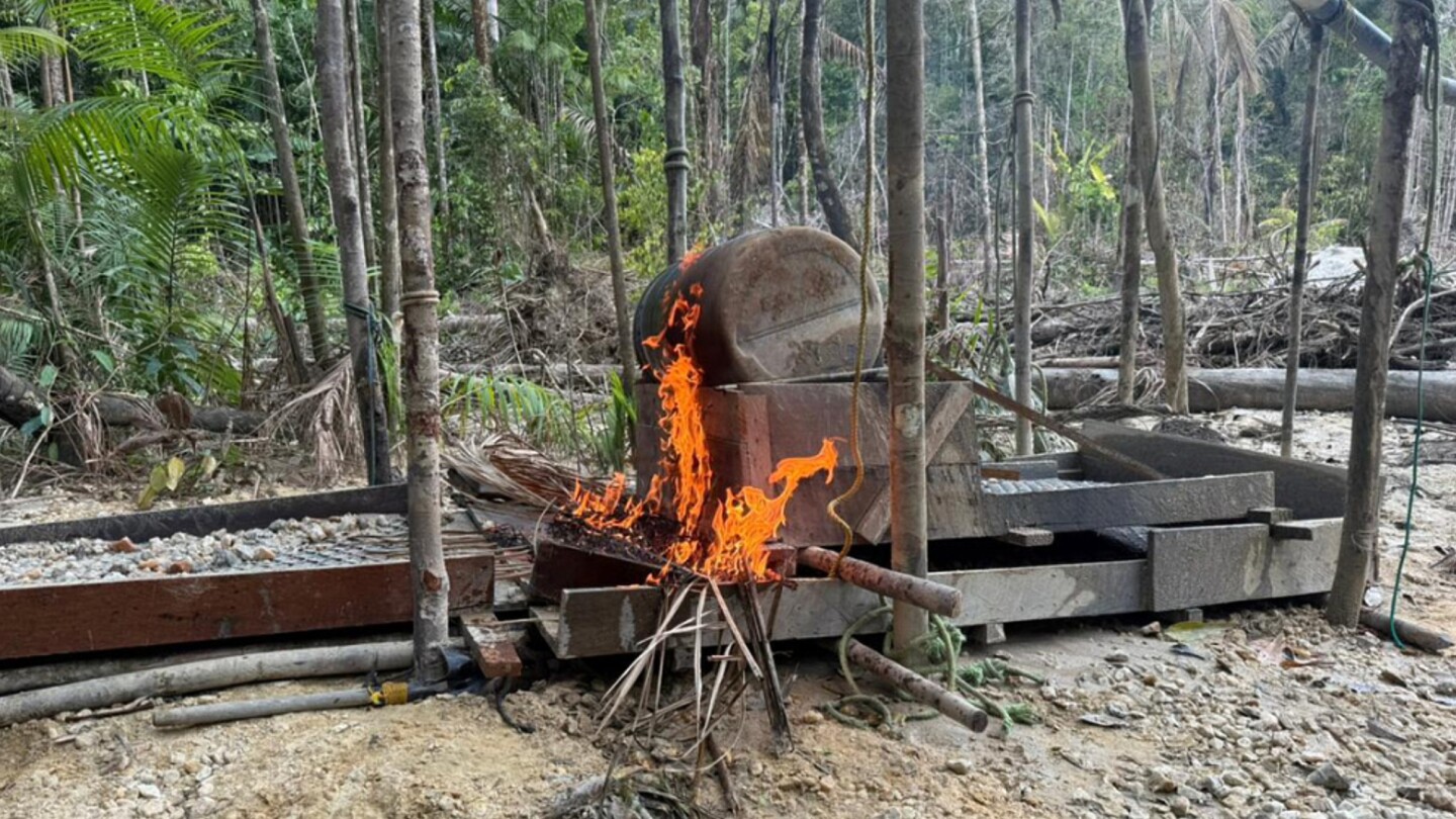 Interpol-backed police make nearly 200 arrests in Amazon region gold mining sweep