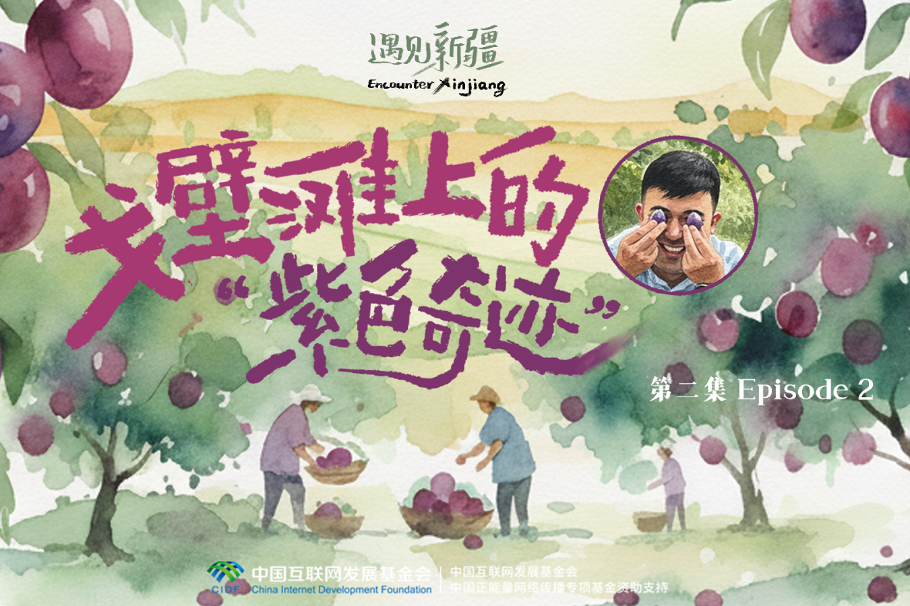 Encounter Xinjiang: The purple miracle of Xinjiang