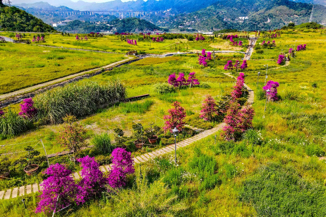 China introduces national standard for valuing terrestrial ecosystems
