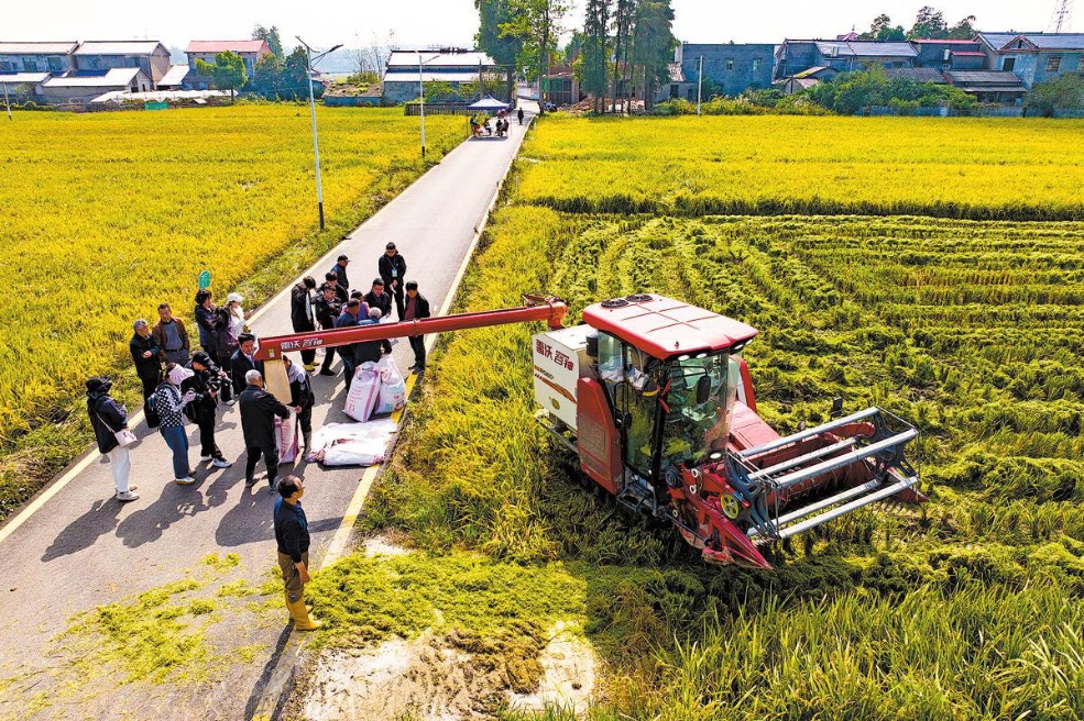 Hunan achieves record grain output in 2025