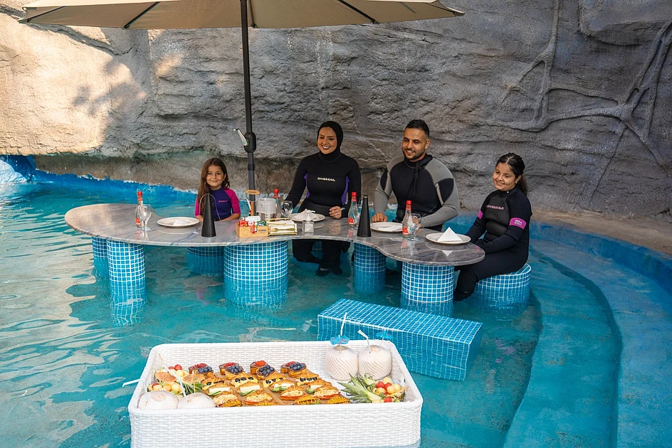 Looking for unique things to do in Abu Dhabi? Try breakfast with sea lions