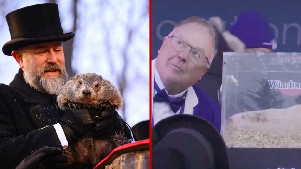 Watch: US and Canada at loggerheads after groundhogs disagree