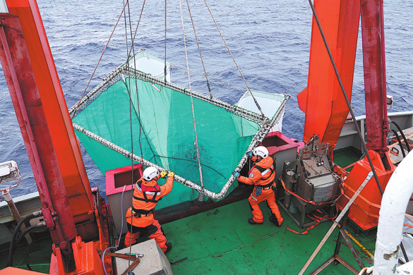 Researchers conclude Antarctic sea survey