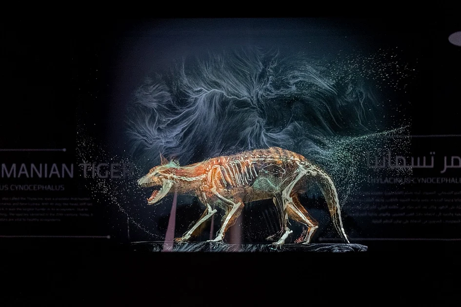 New Life and Biodiversity lab in Dubai to feature Tasmanian tiger, woolly mammoth