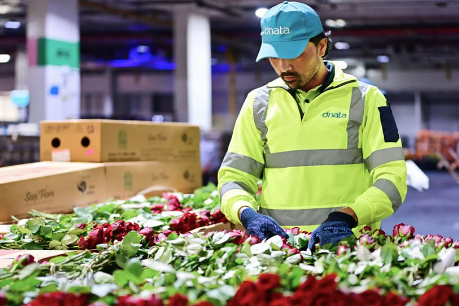 Dubai Flower Centre: UAE’s dnata handles 227,000kg of Valentine’s Day flowers in 5 days