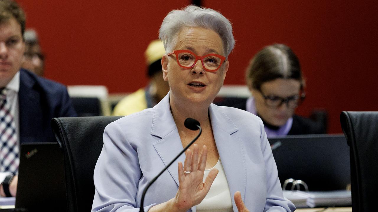 NSW Environment Minister Penny Sharpe ‘worried’ AI data centres will drive up energy prices