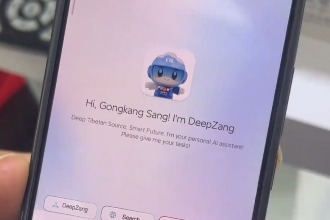 AI innovations to bolster Xizang’s digital economy