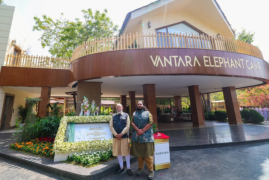 Indian tax on animal imports spells setback for Ambani family’s Vantara zoo