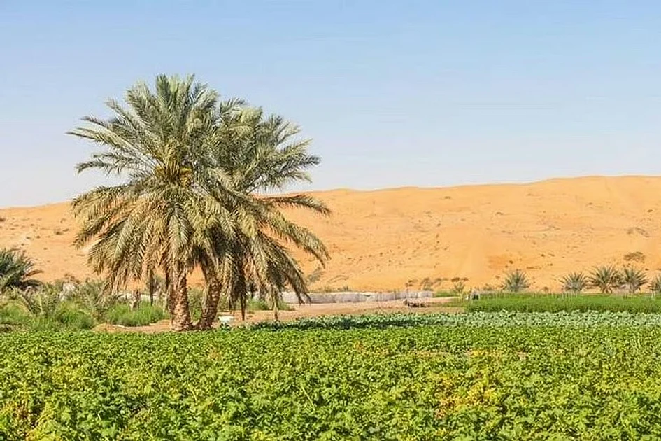 Sharjah steps up farm inspections to curb unauthorised activities