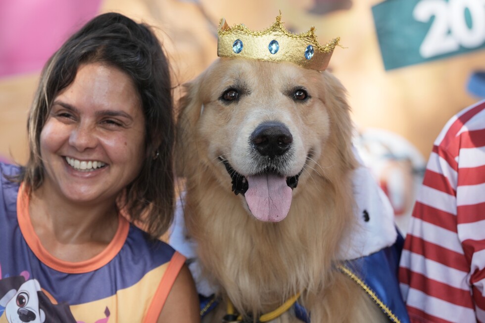 Rio Carnival street party dogs parade as humans protest against pet killers