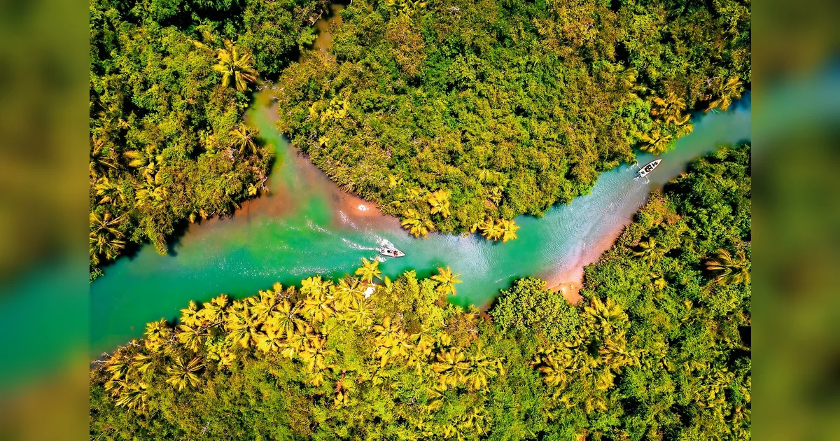 Dominica’s citizenship programme boosts tourism and investment