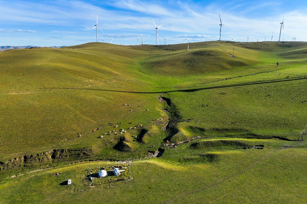Scientists uncover core stabilizing driver of grassland productivity