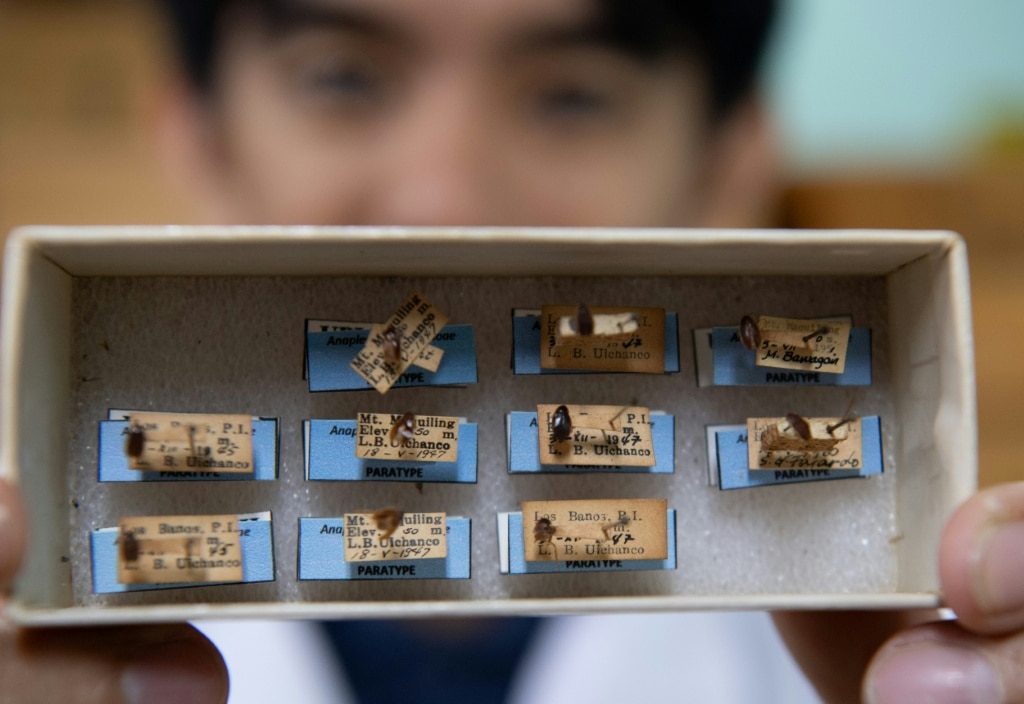 Philippines’ ‘Cockroach Lord’ goes to bat for misunderstood bugs