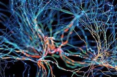 Chinese researchers create neural network for modeling human concept formation