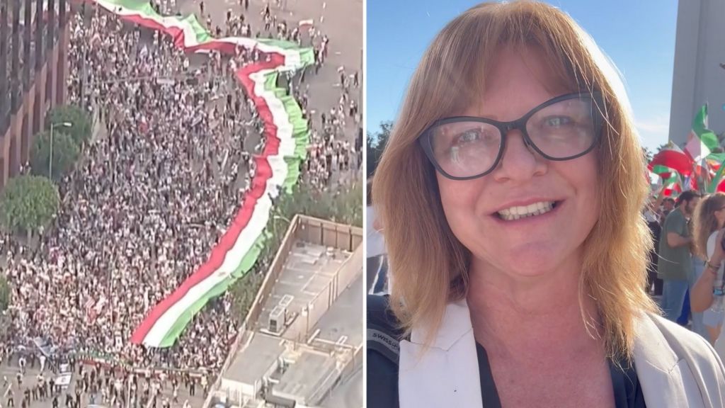 Watch: Iranian Americans celebrate on the streets of Los Angeles