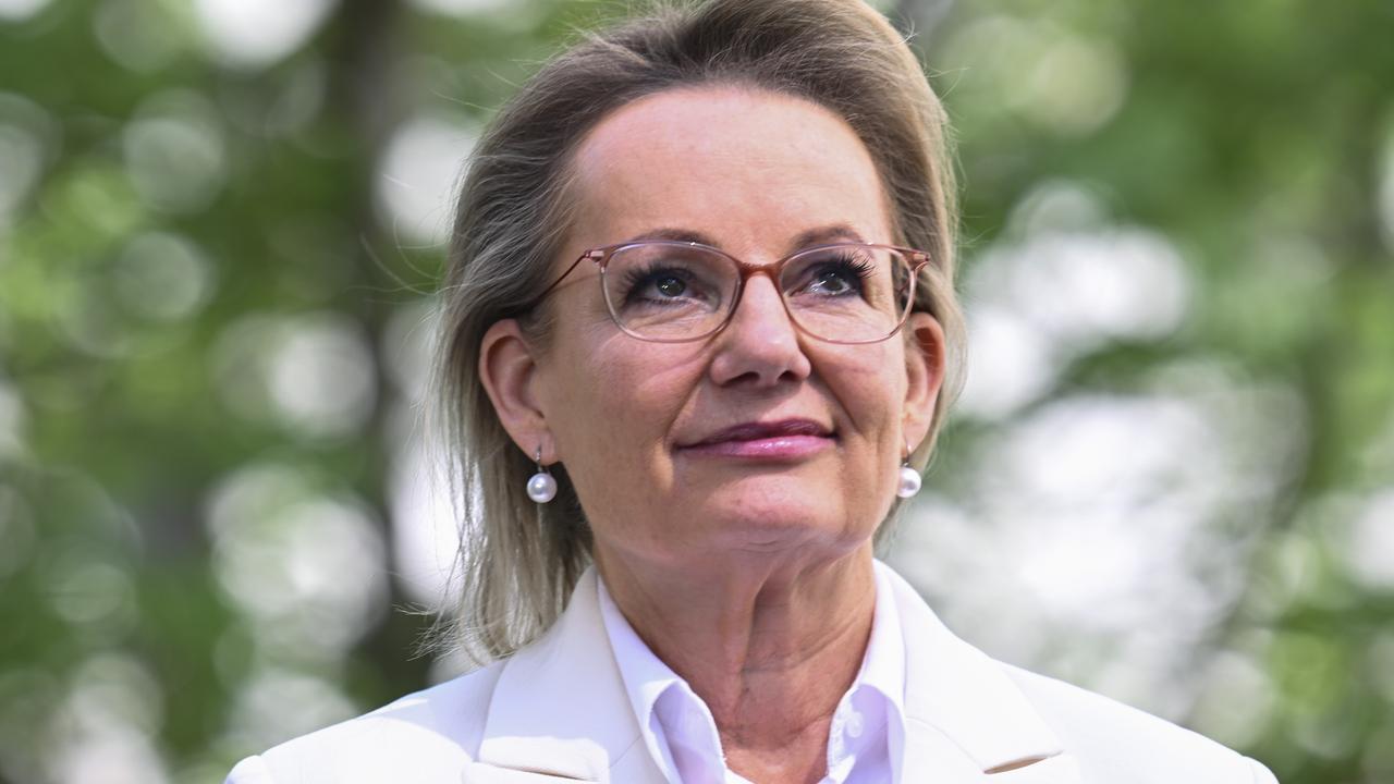 ‘Says nothing’: Liberal Farrer candidate responds to ex-leader snub