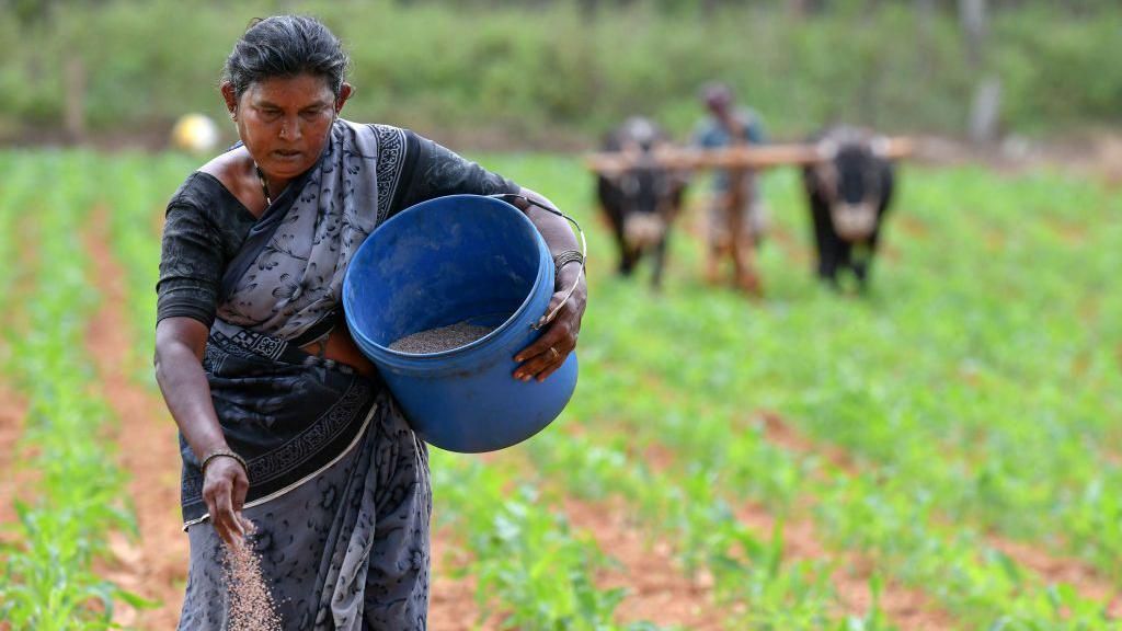 India’s fertiliser supplies under strain as war disrupts shipments