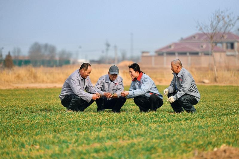 China issues pilot work guideline for rural land contracts extension
