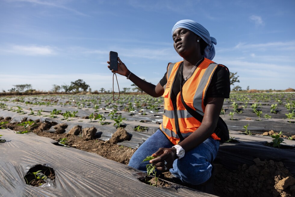 Some West African farmers turn to TikTok as part of agriculture’s changing image