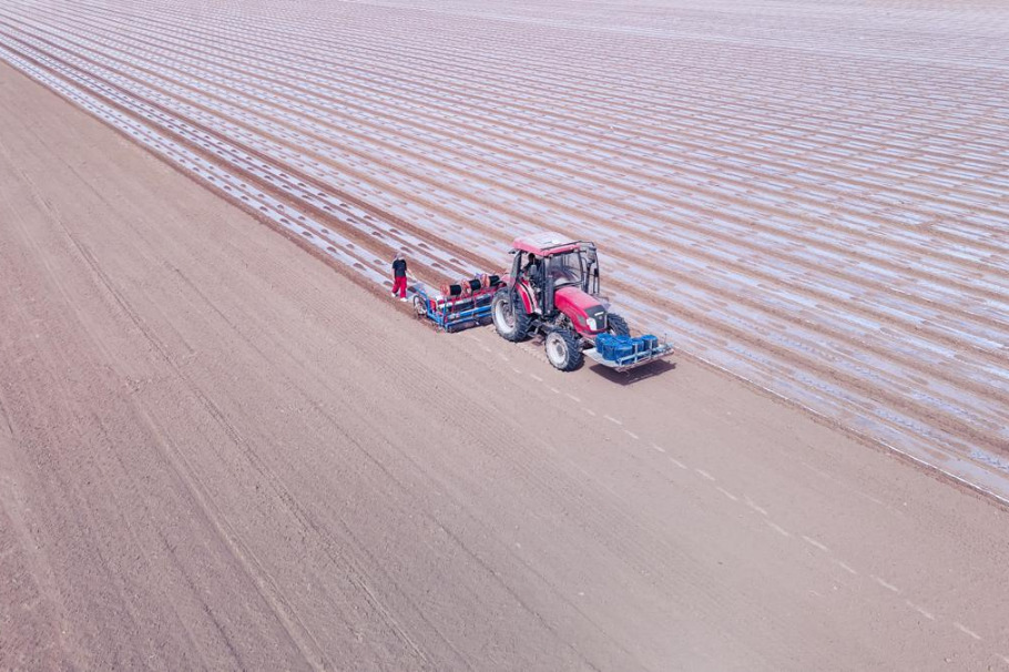 Beidou-guided seeders boost cotton sowing in Xinjiang’s Artux