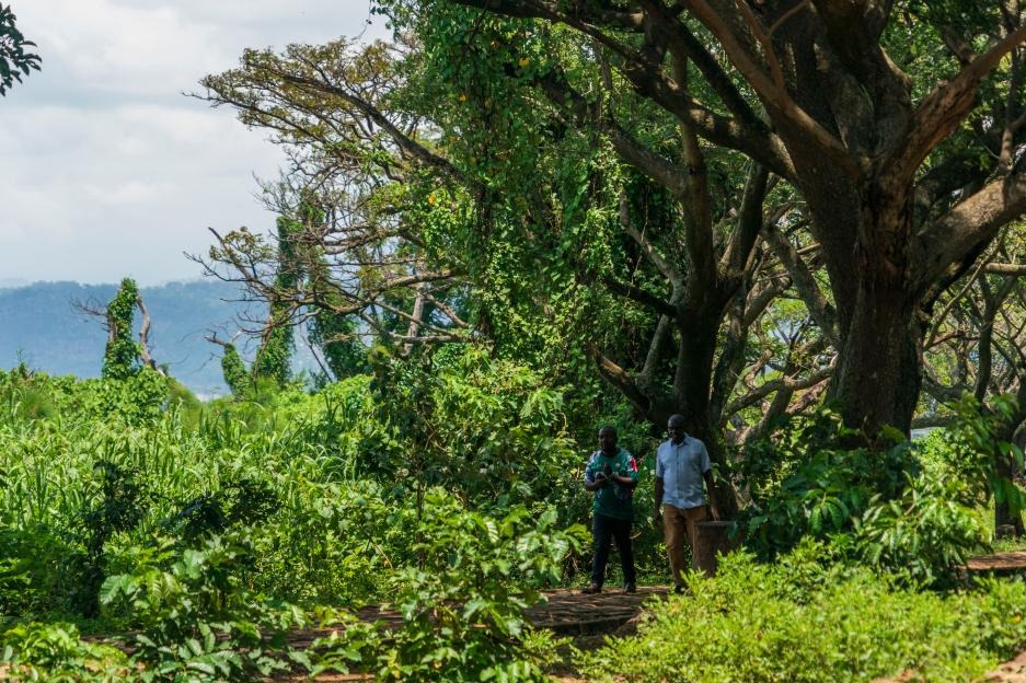 Kenya launches BIOFIN to unlock $150 billion for nature conservation