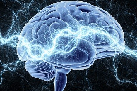 Chinese scientists shed light on how brain switches between thinking, perceiving