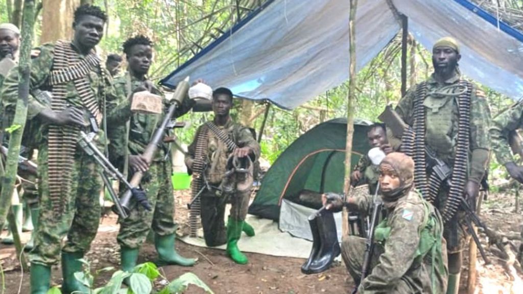 More than 200 rescued from IS-linked group in DR Congo