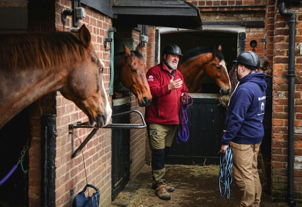 Horses unlikely saviours for those who serve in uniform