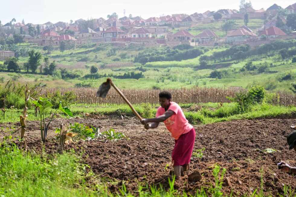Rwanda tries to protect farmland in Africa’s most densely populated nation
