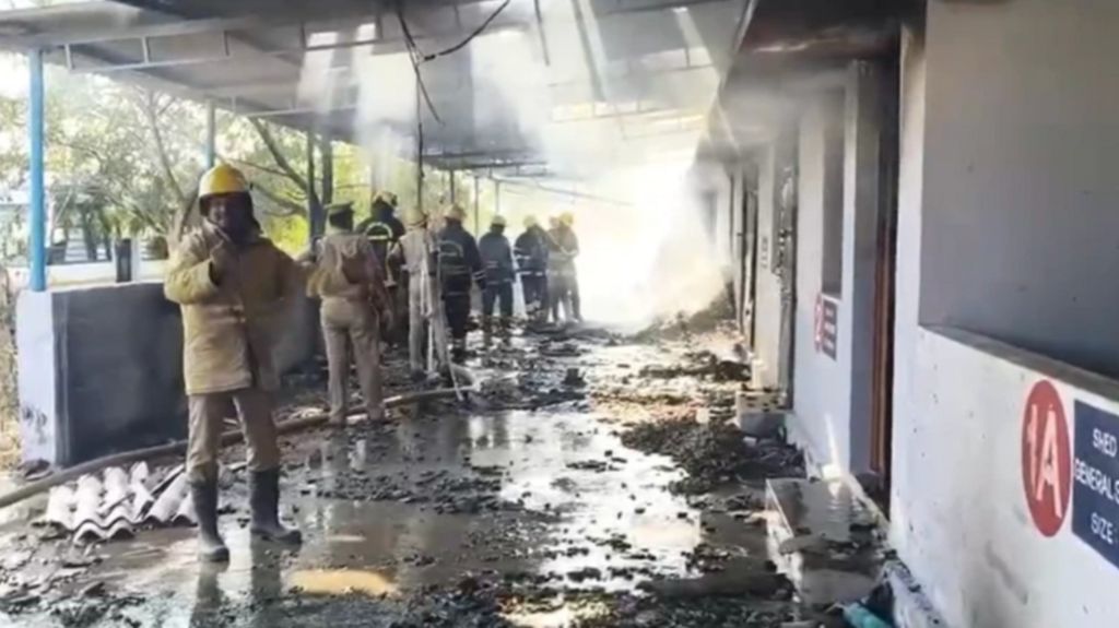 At least 25 killed in firecracker factory blast in India