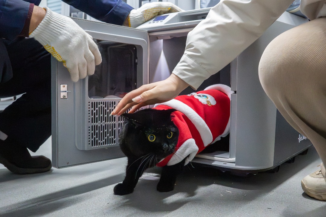 Furry companions welcome: China launches upgraded pet travel service on bullet trains