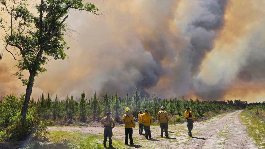 Georgia declares state of emergency as wildfires destroy dozens of homes