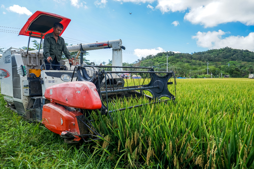 China forecasts higher grain output, lower soybean imports in 2026