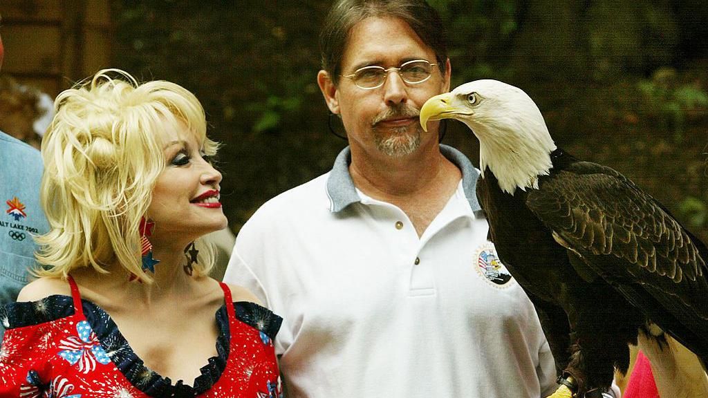 The race against time to find eagles escaped from Dollywood