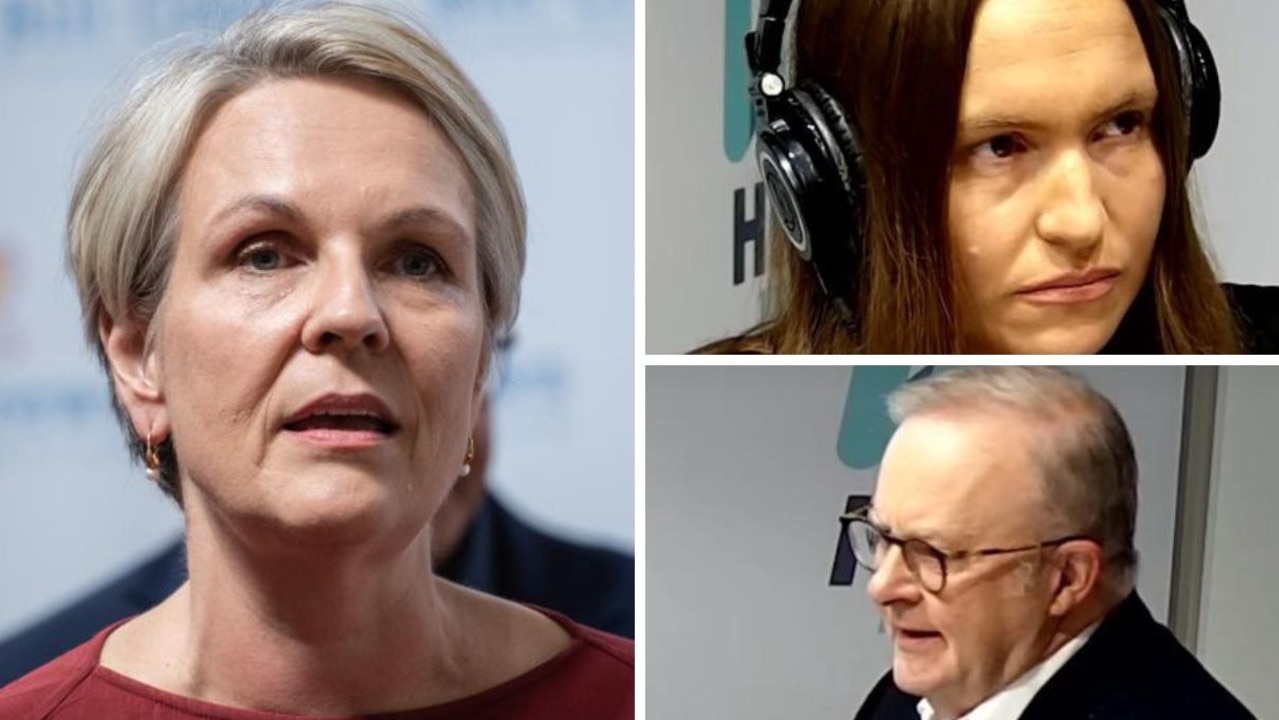 Tanya Plibersek defends PM after on-air dismissal of national femicide inquiry
