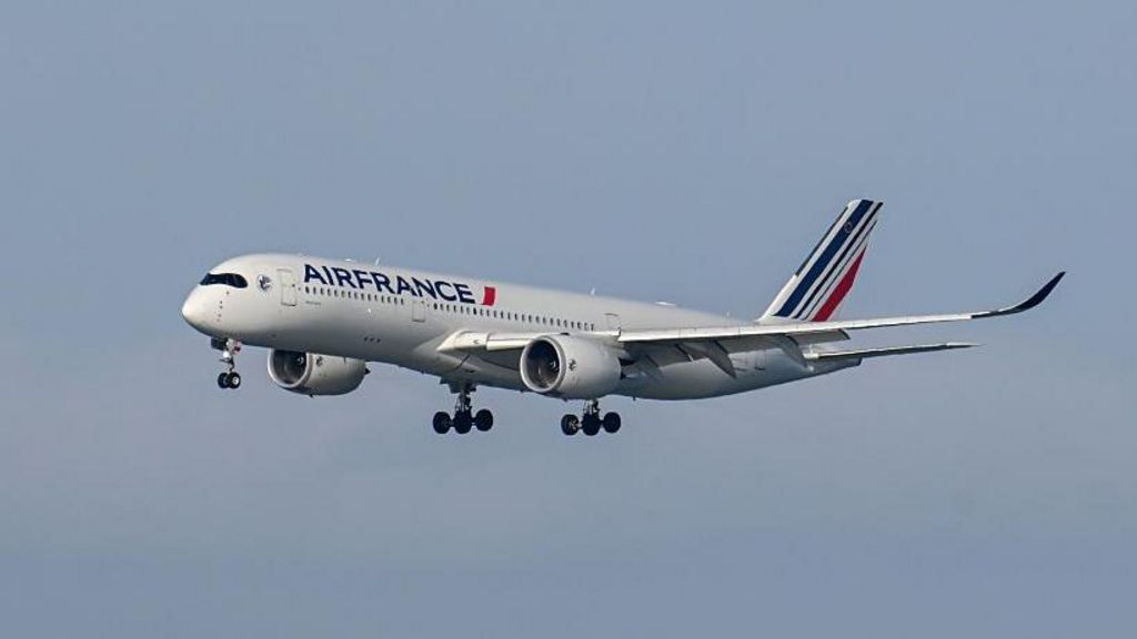US-bound plane diverts to Canada after person from Ebola-hit region boards ‘in error’