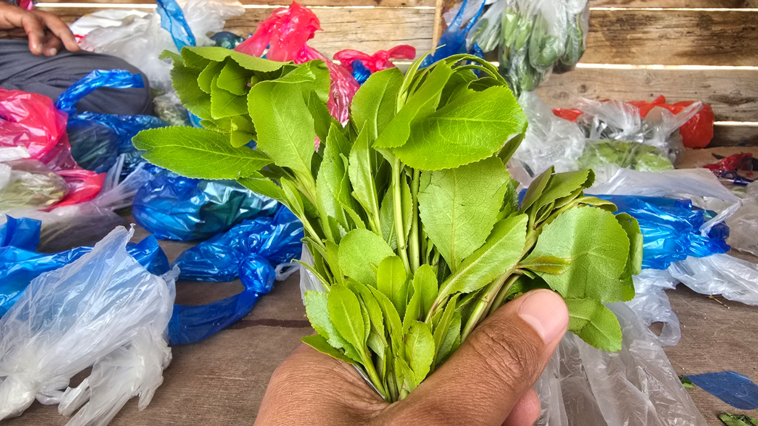 Desperation forces Yemenis to risk lives smuggling qat to Saudi Arabia