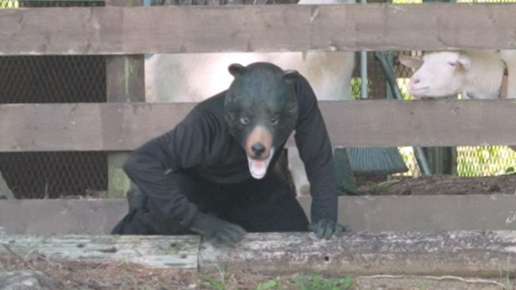 Watch: Japan’s unusual course on avoiding a bear attack
