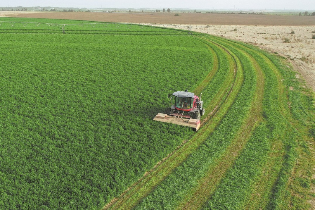 Subsidies turn desert control into moneymaker
