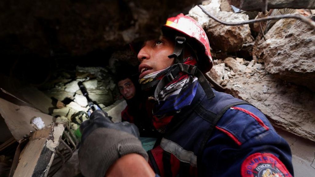 Dogs, drones and sound detectors: How rescuers search for quake survivors