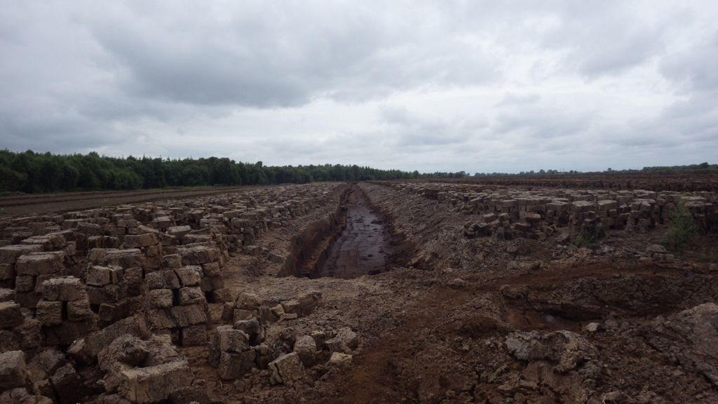 Ireland facing EU court case over peat extraction
