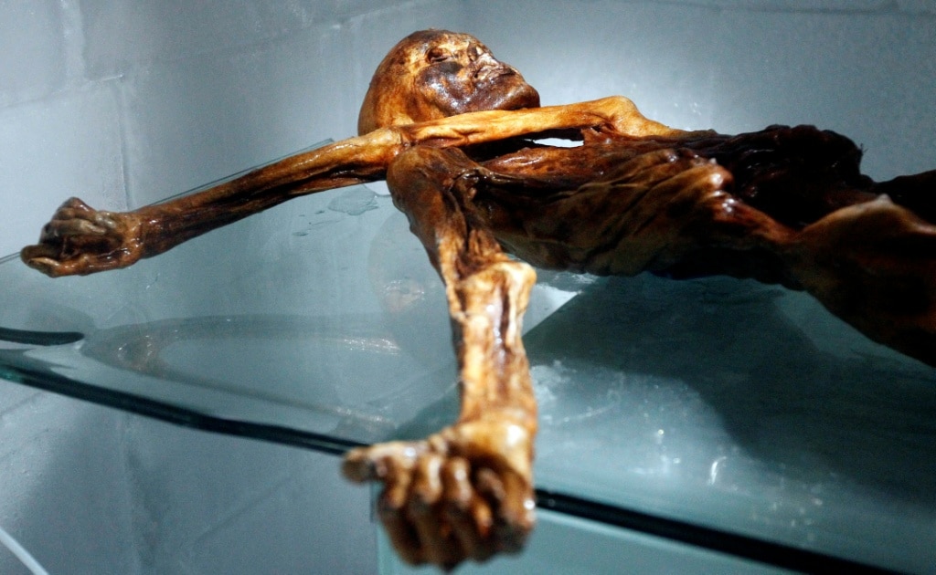 Scientists find yeast in ancient Iceman’s guts — and make bread