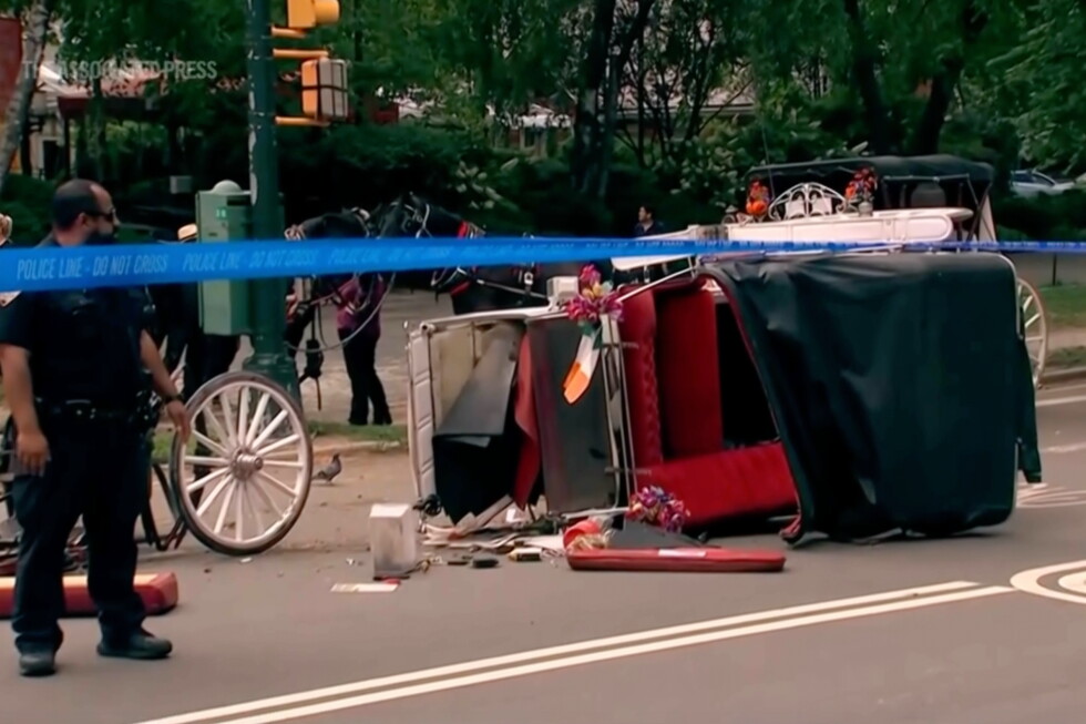 New York mayor, other leaders push to ban horse-drawn carriage rides after Indian teen’s death