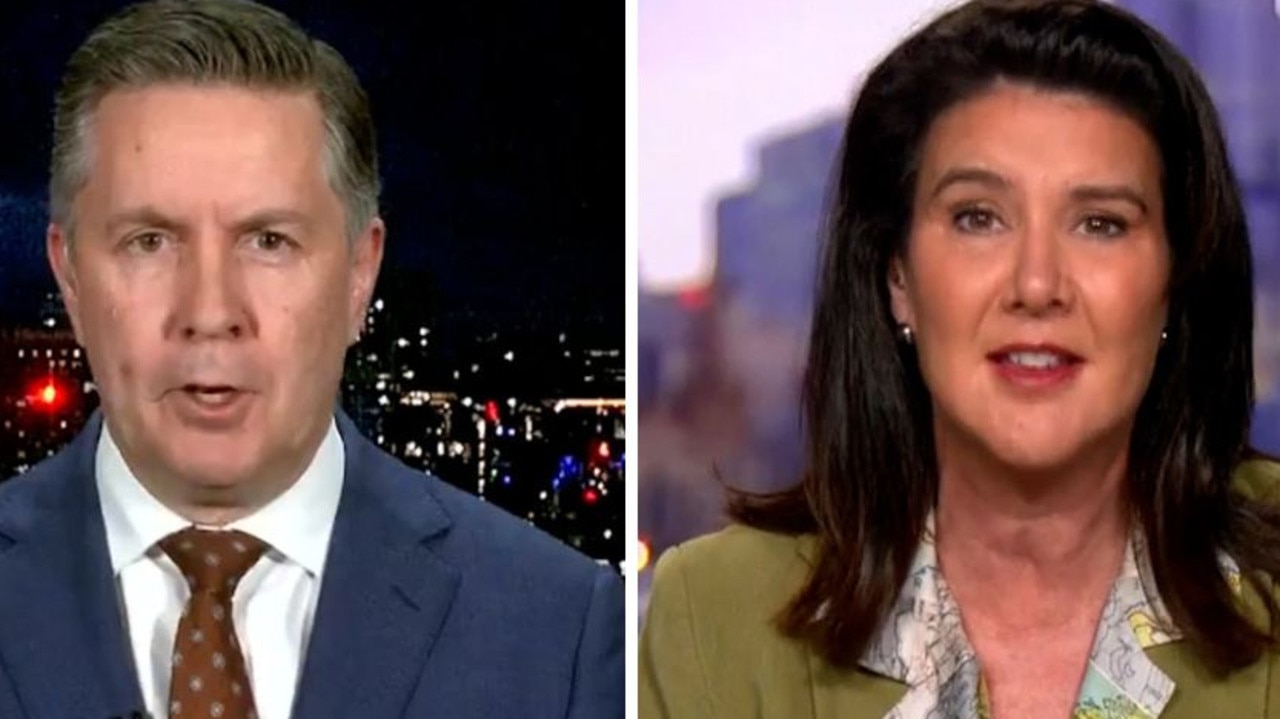 ‘Personal sledge’: Health Minister Mark Butler dismisses One Nation’s anti-Labor fundraiser