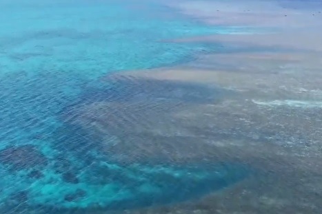 China strongly deplores Japanese FM’s statement on South China Sea: spokesperson
