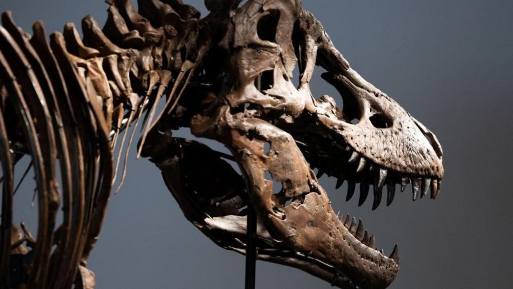 Meet ‘Gus’, the world’s most expensive Tyrannosaurus rex