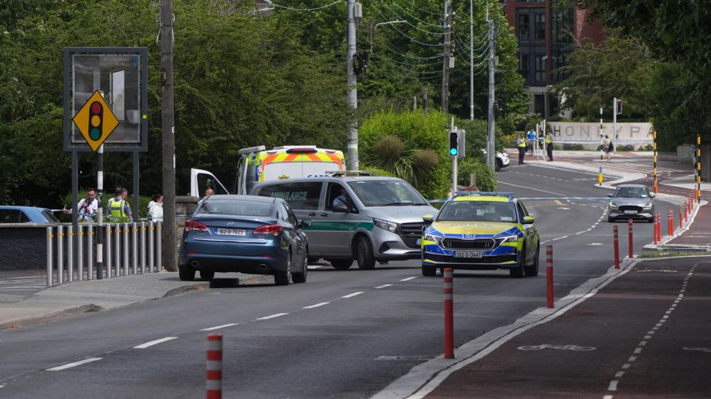 Man shot dead in County Dublin