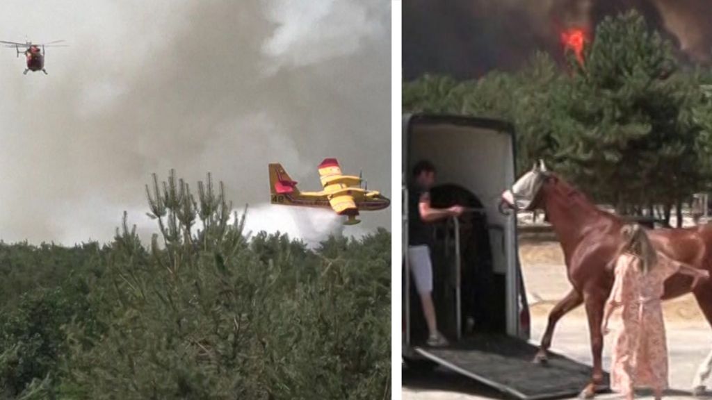 Watch: Horses evacuated as fire approaches riding centre near Paris